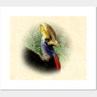 Southern cassowary Posters and Art